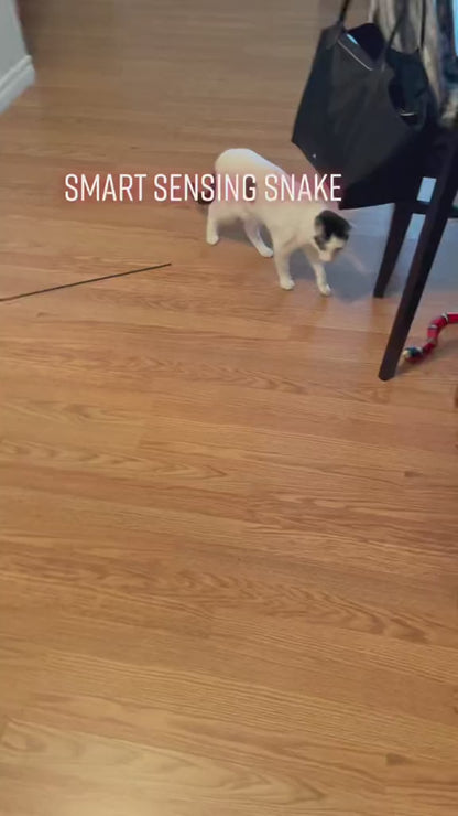 Smart Sensing Snake Interactive Cat Toys